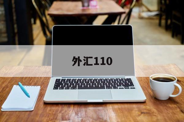 外汇110(外汇110平台官网)